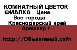 КОМНАТНЫЙ ЦВЕТОК -ФИАЛКА › Цена ­ 1 500 - Все города  »    . Краснодарский край,Армавир г.